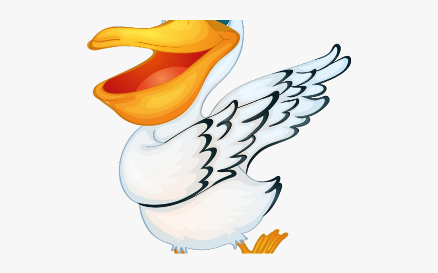 Cartoon Pelican Pictures - Pelicans Cartoon, Transparent Clipart