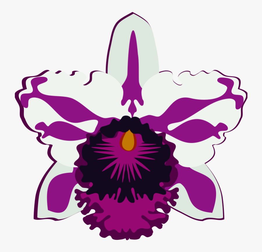 This Png File Is About Orchid , Cattleya , Orquidea - Portable Network Graphics, Transparent Clipart