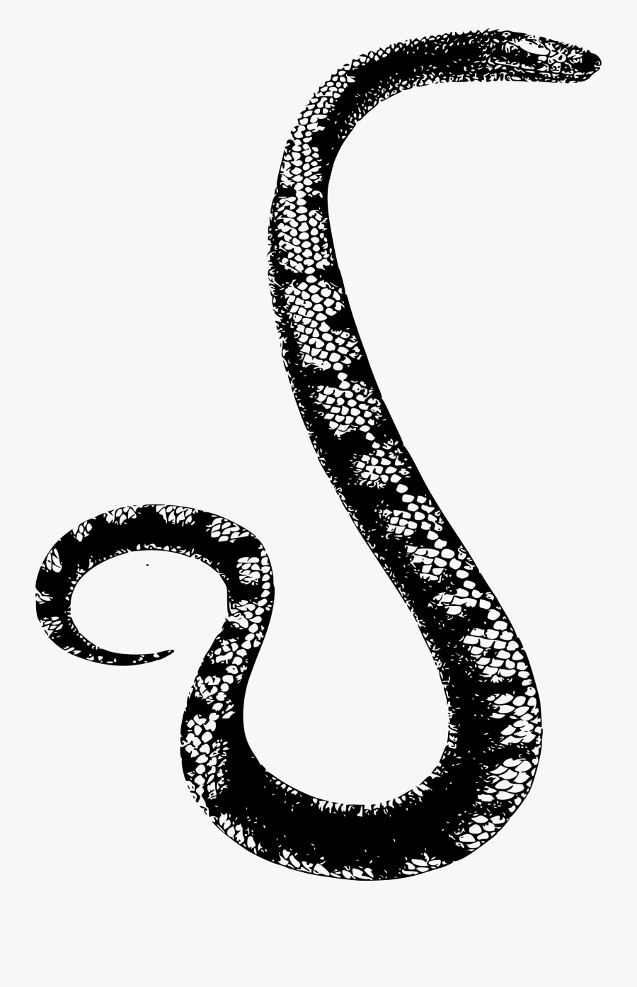 Reptile Clipart Big Snake - Snake Big Simple, Transparent Clipart