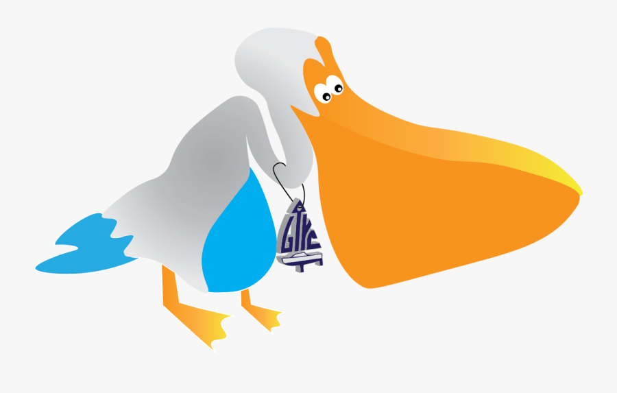 New For 2017, The Pelican Race Geelong To Be Held On - Duck, Transparent Clipart