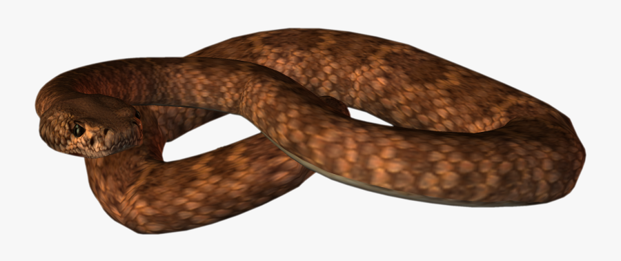Animated Snake Png Image - Animated Snake Gif Png, Transparent Clipart