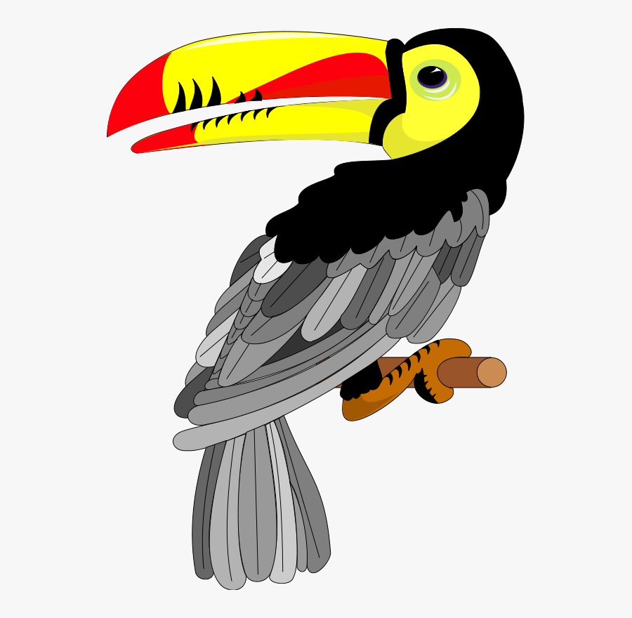 Free Vector Bird - Toucan Flying With Transparent Background, Transparent Clipart
