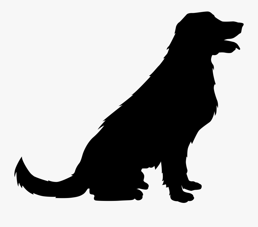 Labrador Retriever Golden Retriever Puppy Vector Graphics, Transparent Clipart