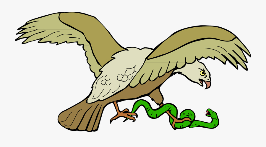 Kill Free Vector Graphic - Aguila Con Una Serpiente, Transparent Clipart