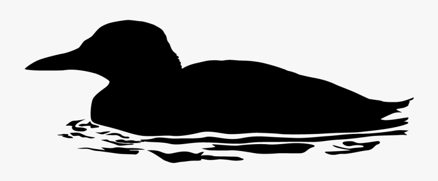 Common Murre Silhouette, Transparent Clipart