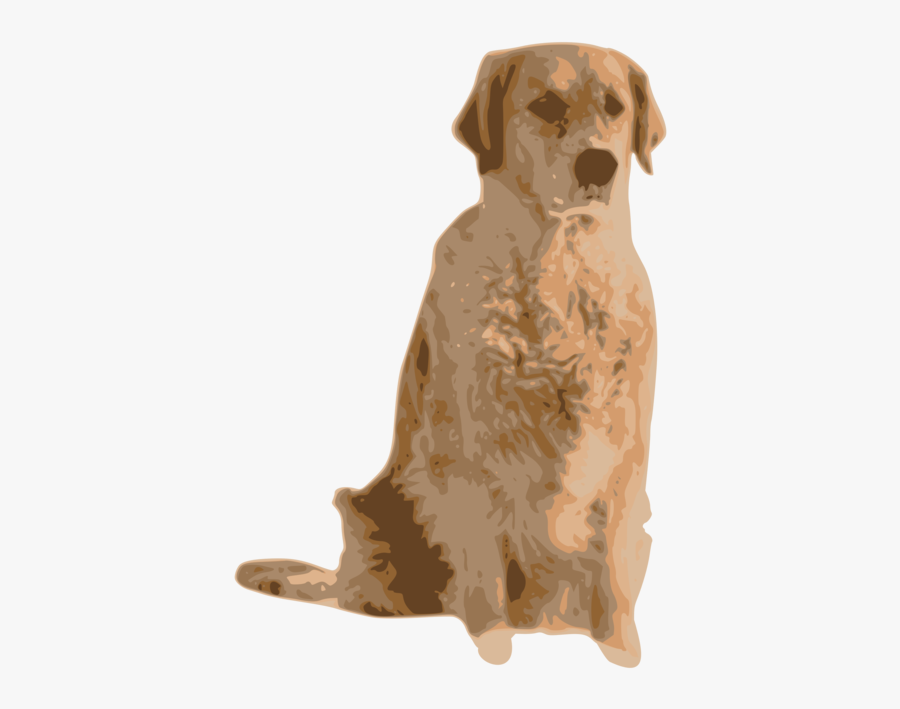 Companion Dog,carnivoran,nova Scotia Duck Tolling Retriever - Dog Retriever Transparent, Transparent Clipart
