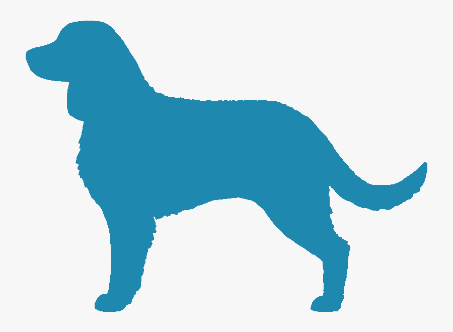 Water City Kennel - Golden Retriever, Transparent Clipart