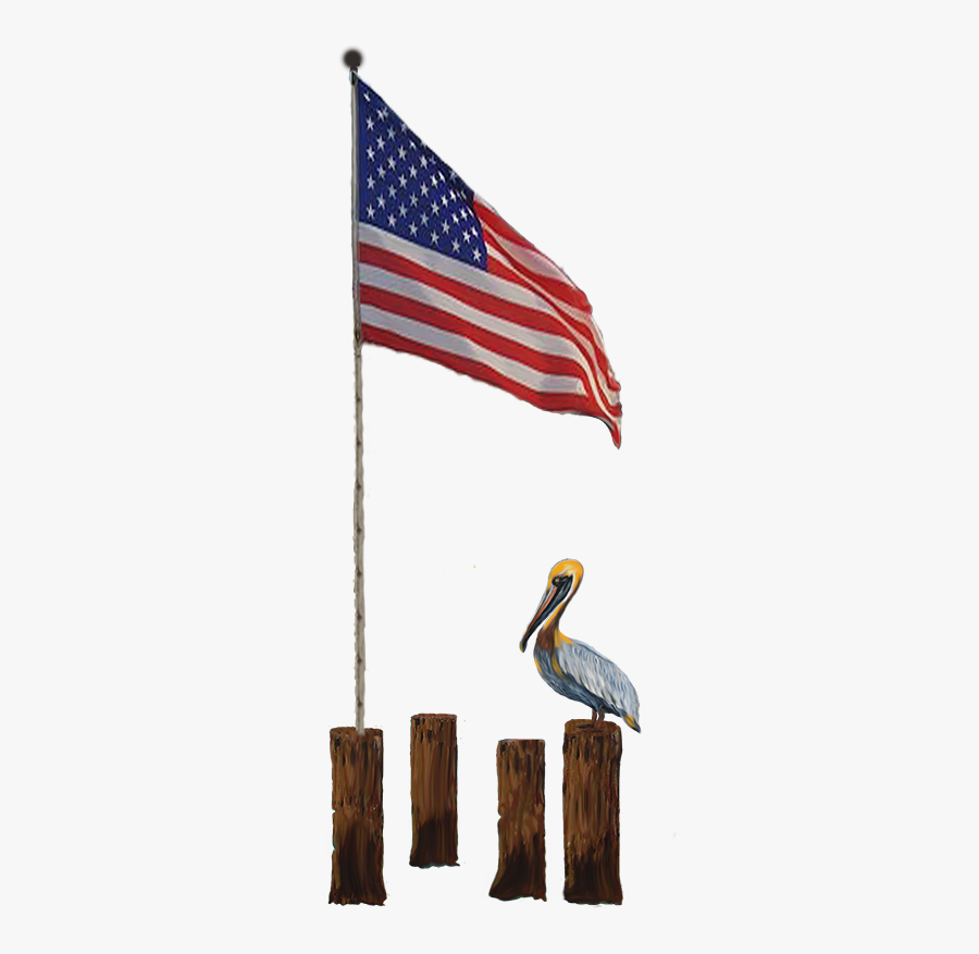 Brown Pelican, Transparent Clipart