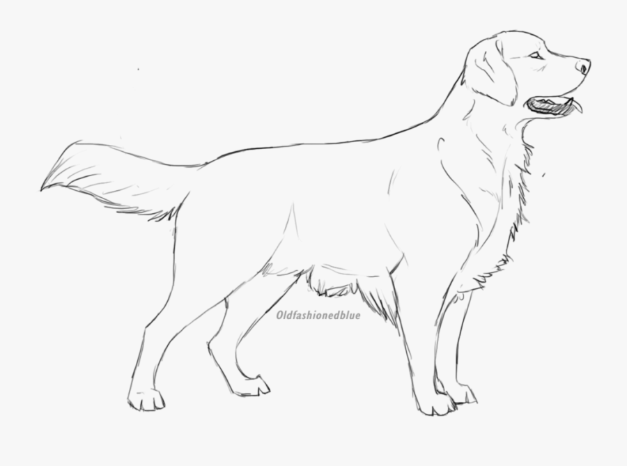 Clip Art Png Clip Art - Golden Retriever Lineart, Transparent Clipart