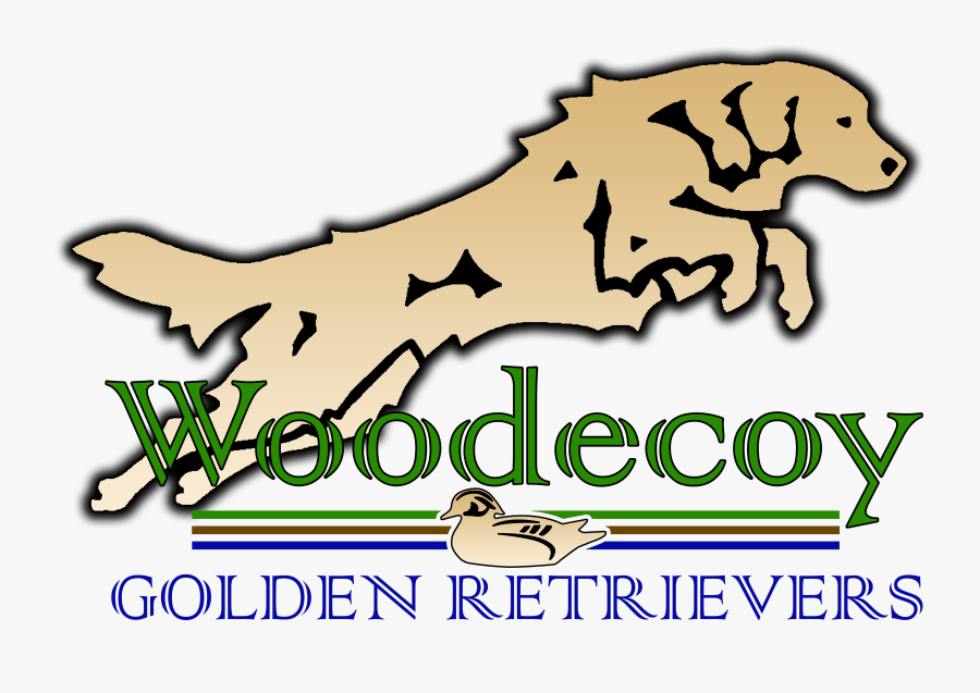 Coliseu, Transparent Clipart