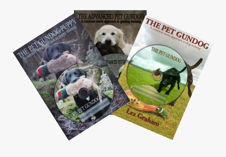 Transparent Labrador Retriever Clipart - Golden Retriever, Transparent Clipart