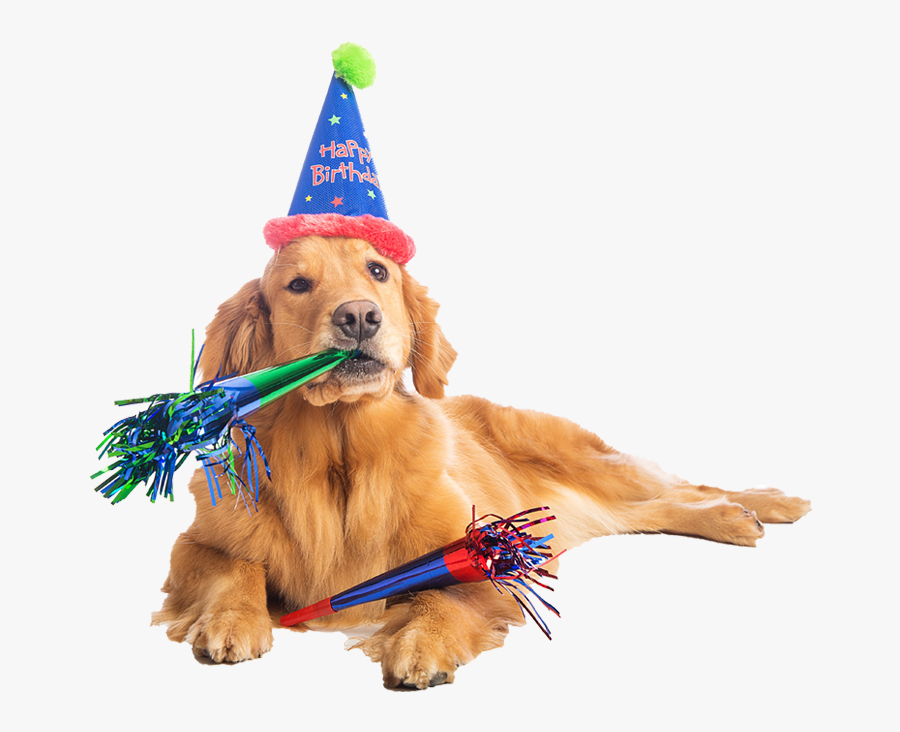 Clip Art Dog Png Transparent Images - Birthday Dog, Transparent Clipart