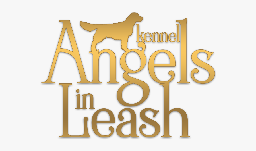 Angels In Leash, Transparent Clipart