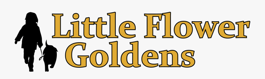 Little Flower Goldens, Transparent Clipart