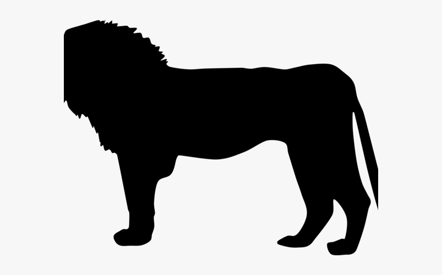 Lion African Animal Silhouette, Transparent Clipart