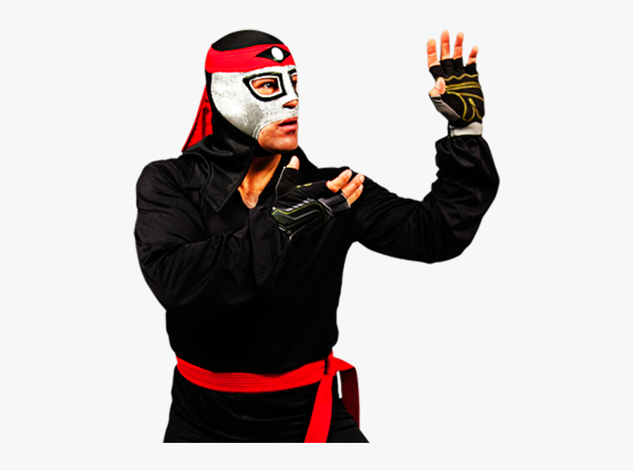 Luchador Wrestler Download - Octagon Aaa Lucha Libre, Transparent Clipart