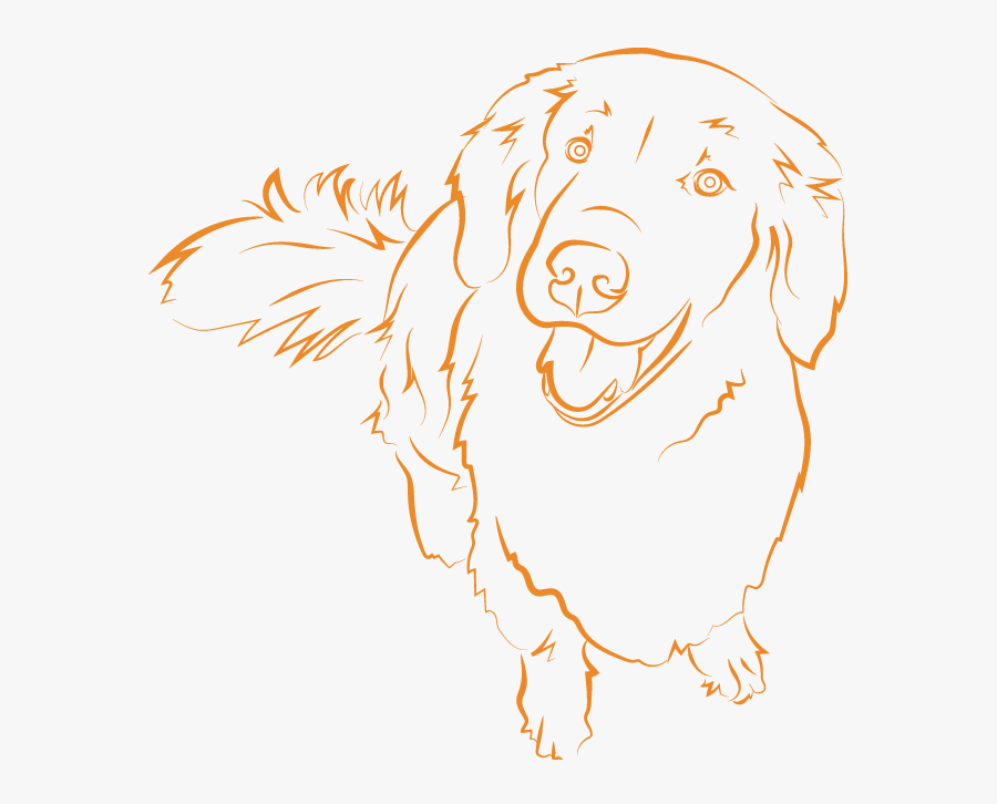 Illustration, Transparent Clipart