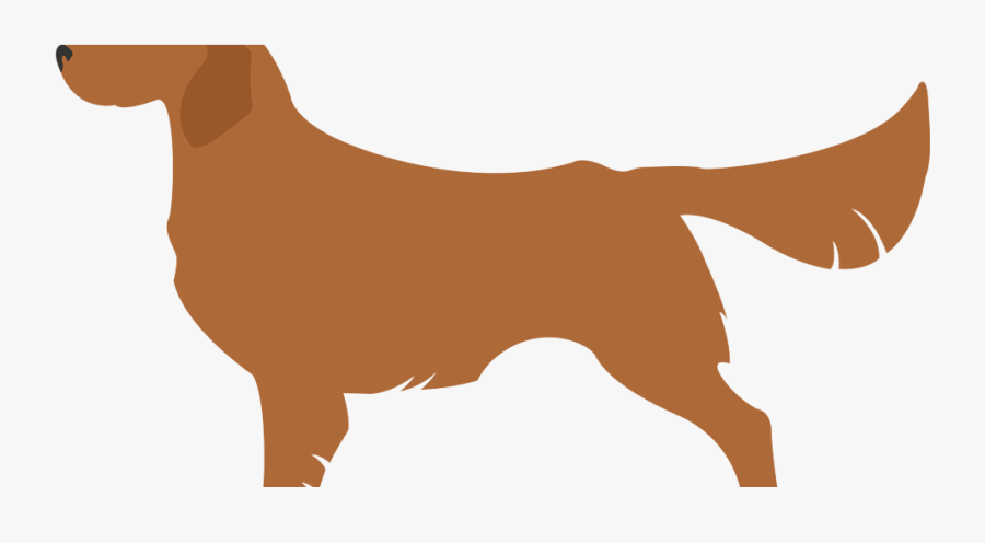 Companion Dog, Transparent Clipart