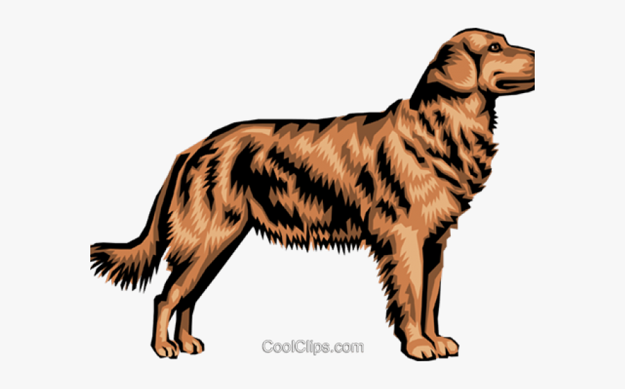 Golden Retriever Clip Art, Transparent Clipart