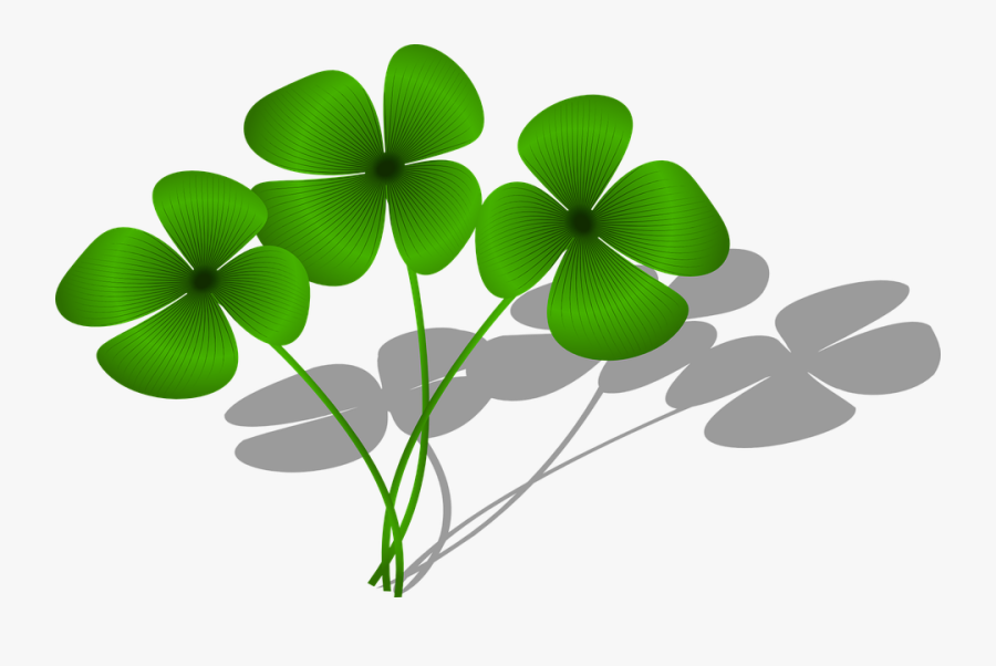 Green Luck Clovers Plant Symbol Flora - Clovers Clipart, Transparent Clipart