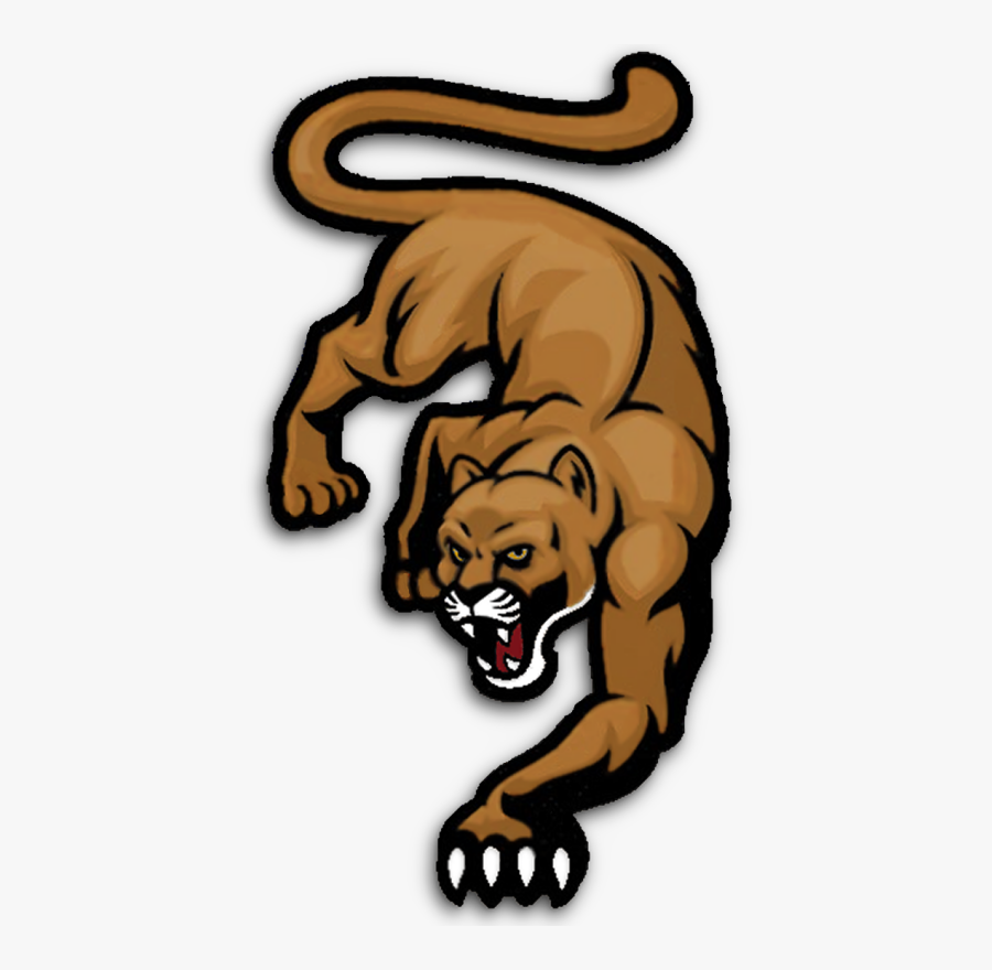 Minnesota Mountain Lions - Cougar Vector, Transparent Clipart