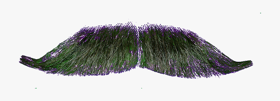 Realistic Clipart Mustache - Transparent Background Mustache Png, Transparent Clipart
