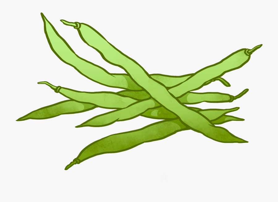 Cartoon Beans Black And White - Drawing Of Green Beans, Transparent Clipart