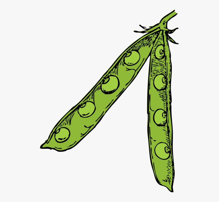Beans Pea Plant Clipart - Soybeans Clipart, Transparent Clipart