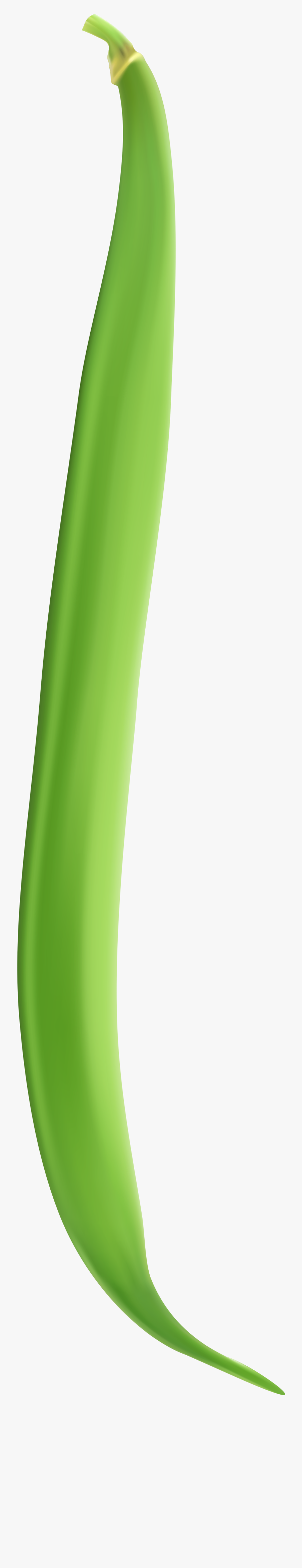 String Bean Png Clip Art Image - Green Bean Transparent Background