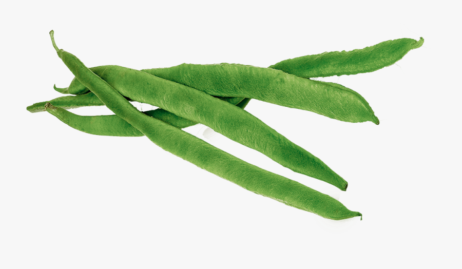 Green Png Images Free Download - Green Beans Clipart Png, Transparent Clipart