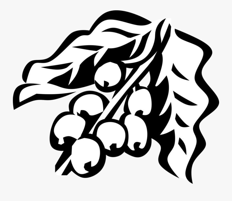 Transparent Coffee Bean Clipart Black And White, Transparent Clipart