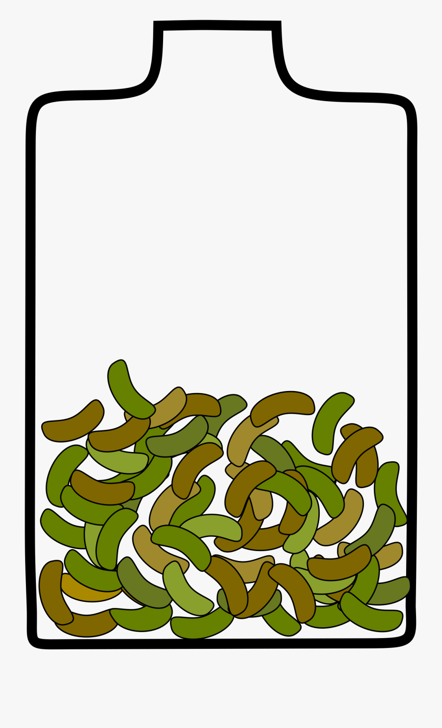 Grass,leaf,area, Transparent Clipart