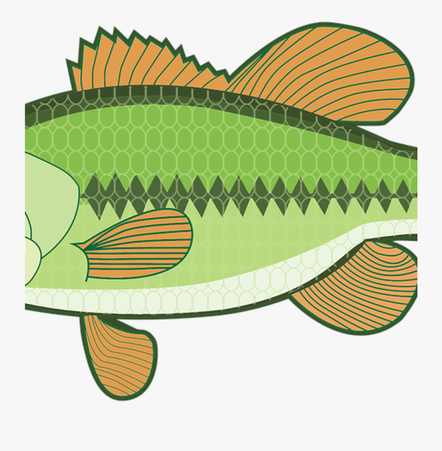 Bass Fish Clipart Animal Bass Fish Free Vector Graphic - Cartoon Largemouth Bass Bass, Transparent Clipart