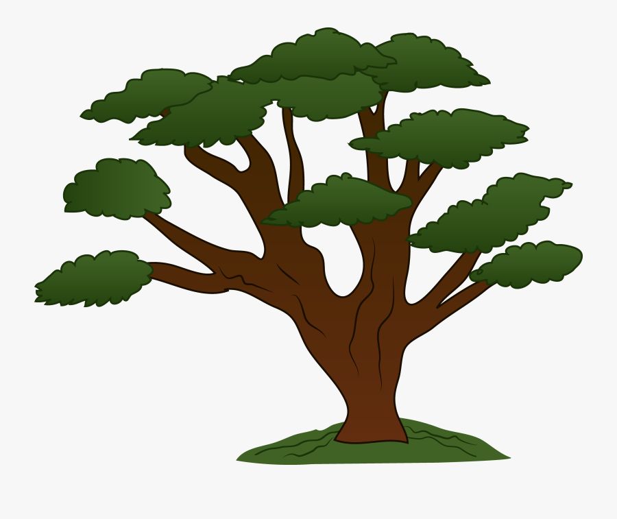 Trees Tree Clipart Free Images - Tree Clipart, Transparent Clipart