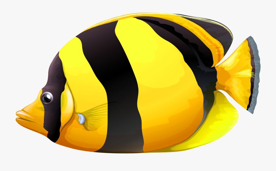 Yellow Chaetodon Butterfly Fish Png Clipart - Fish Png, Transparent Clipart