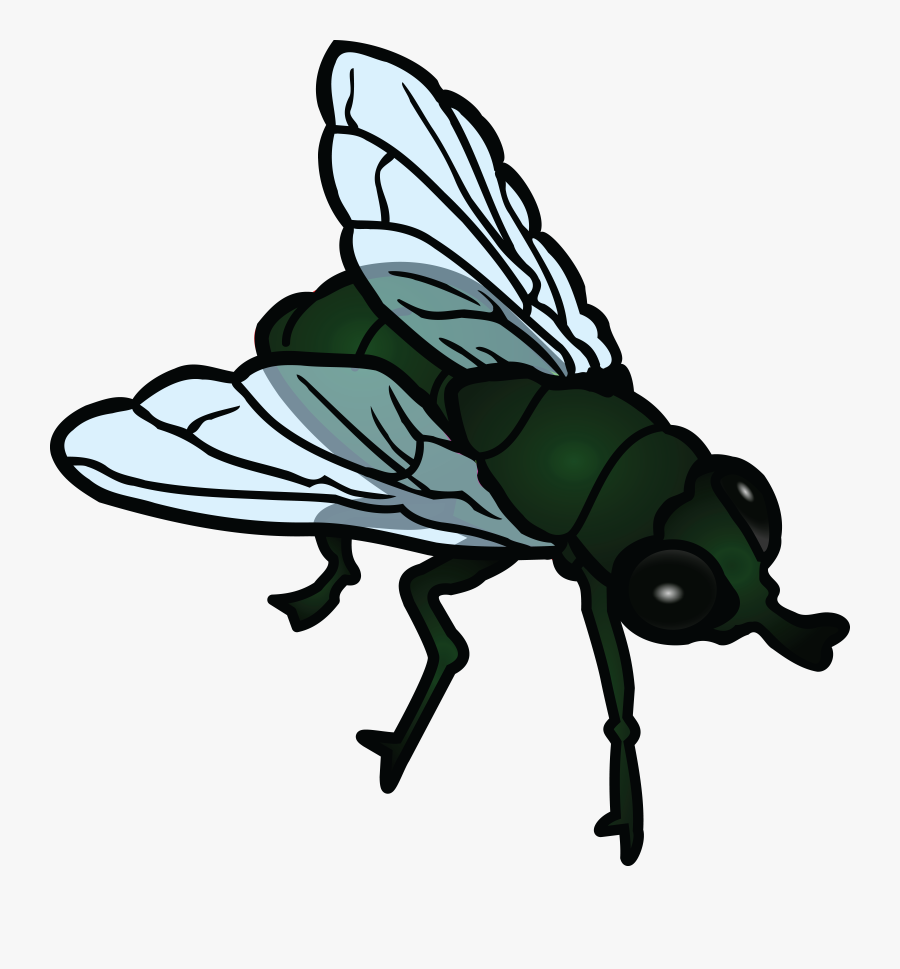Free Clipart Of A Fly - Transparent Flies Clip Art, Transparent Clipart