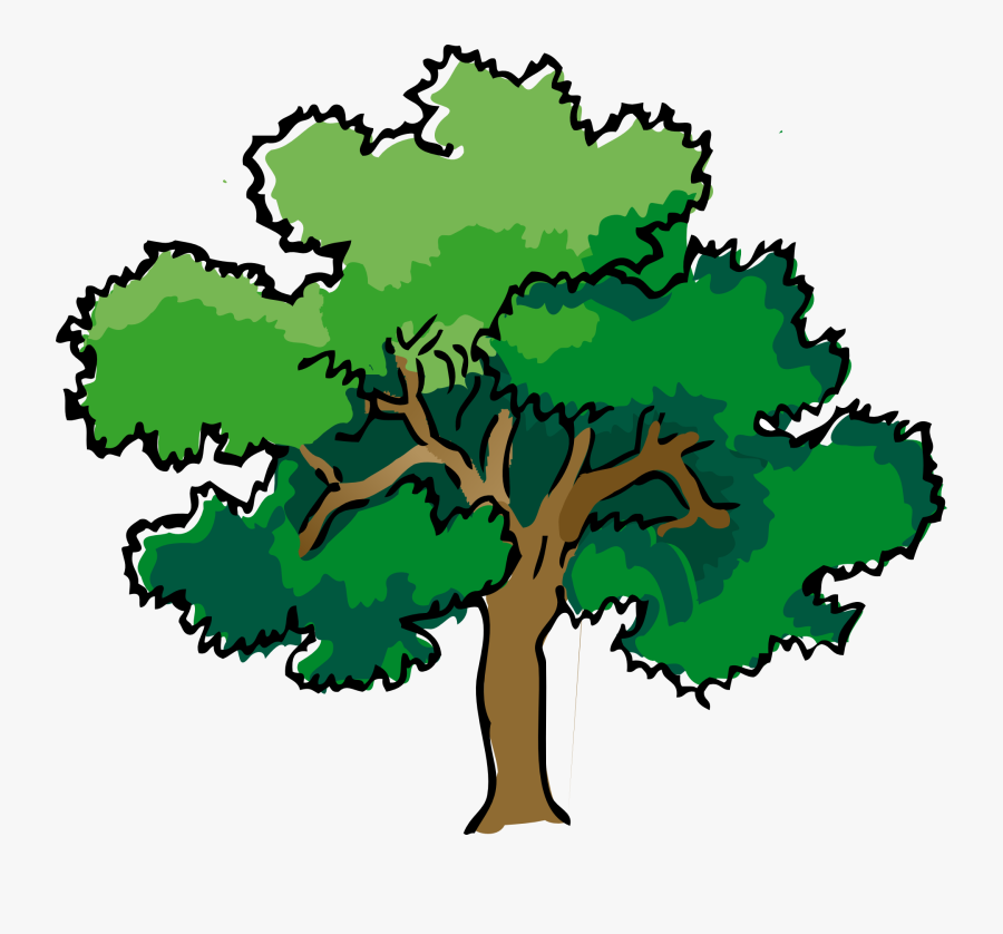 Tree Clipart - Color Trees Drawing, Transparent Clipart