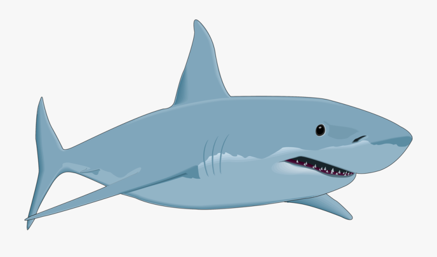Shark Clipart Shark Fish Clipart Png Free Download - Great White Shark Clip Art, Transparent Clipart