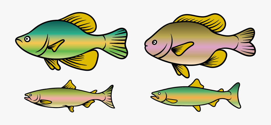Clip Art Trout Techflourish Collections At - Clip Art, Transparent Clipart