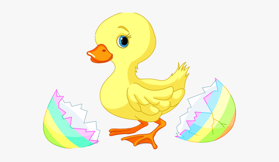 Free Baby Cliparts Download - Baby Duck Clipart, Transparent Clipart