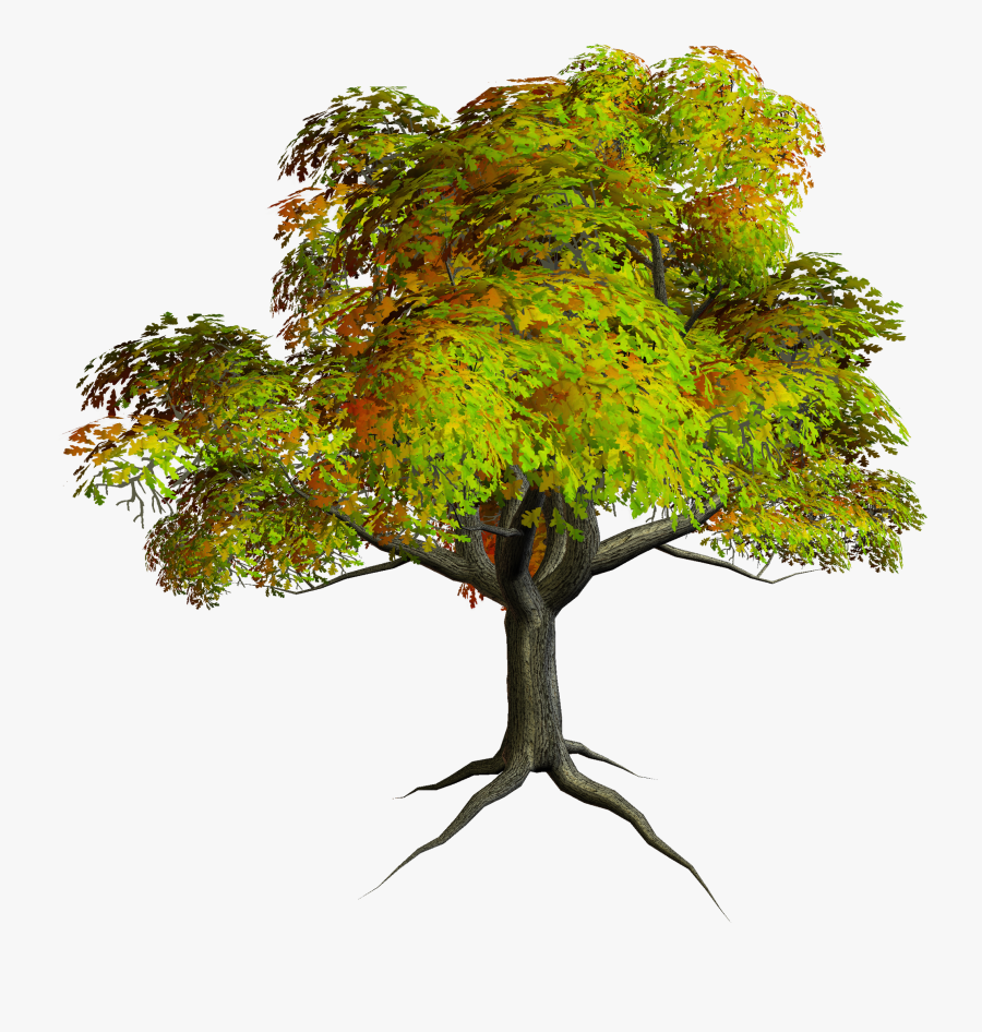 Autumn Tree Clipart - Png Format Tree Clipart Png, Transparent Clipart