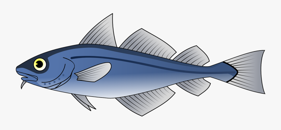 Free Stock Photo Illustration - Cod Fish Clipart, Transparent Clipart