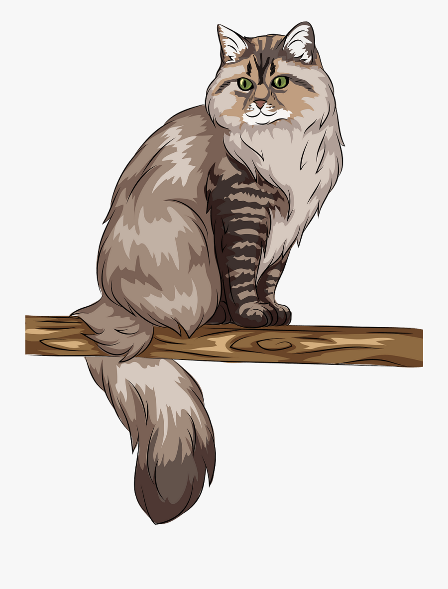 Domestic Short-haired Cat, Transparent Clipart