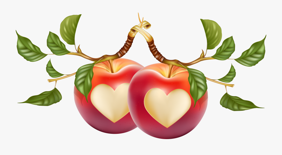 Transparent Fruits Clipart - Apple Vector Art, Transparent Clipart