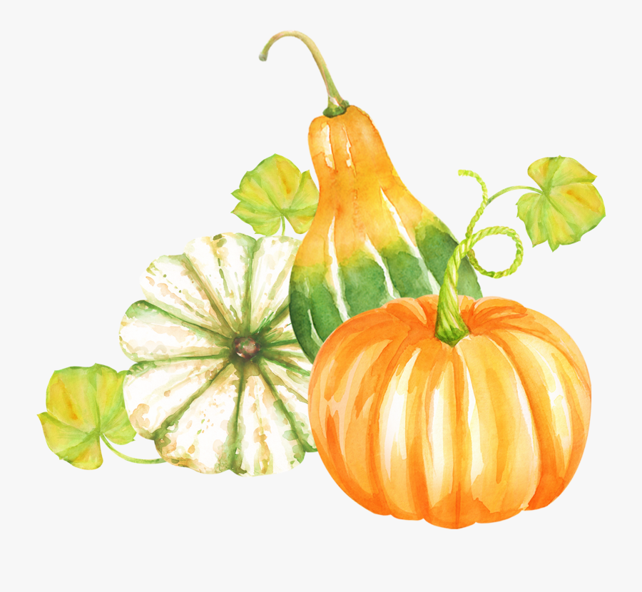 Thanksgiving Clipart Pumpkin, Transparent Clipart