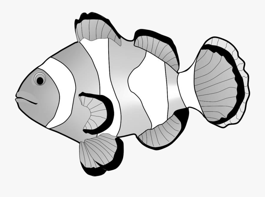 Clown Fish Clipart Black And White - Png Of Clown Fish, Transparent Clipart