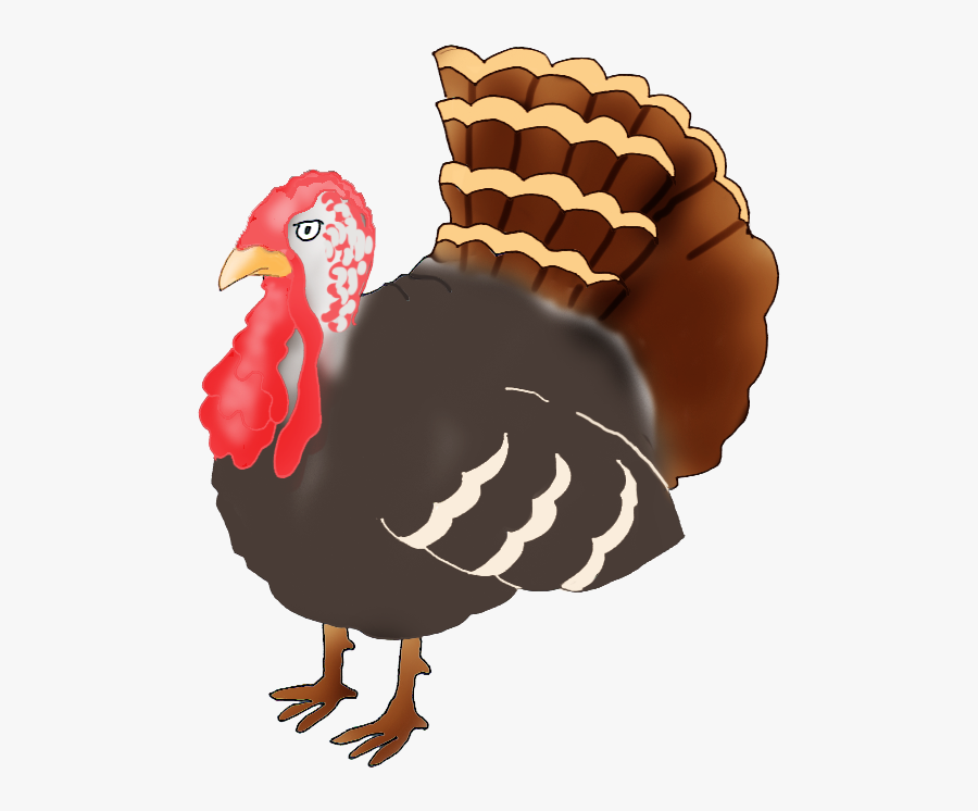 Happy Thanksgiving Clipart - Turkey Drawing Png, Transparent Clipart