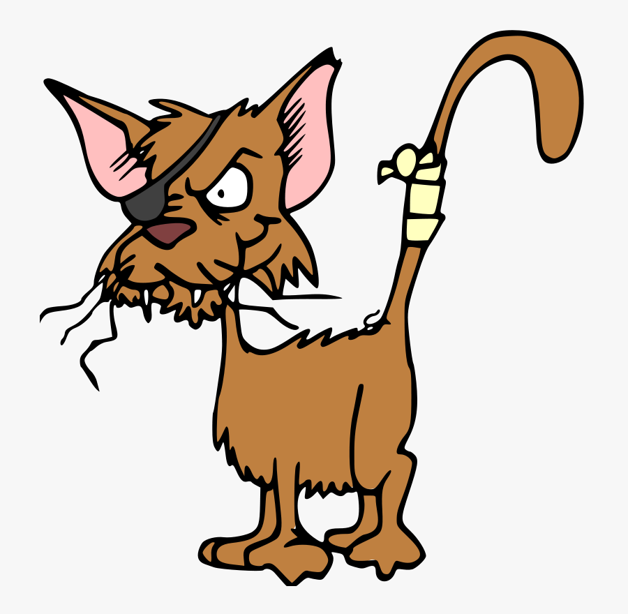 Cat - Clipart - One Eyed Cat Cartoon, Transparent Clipart