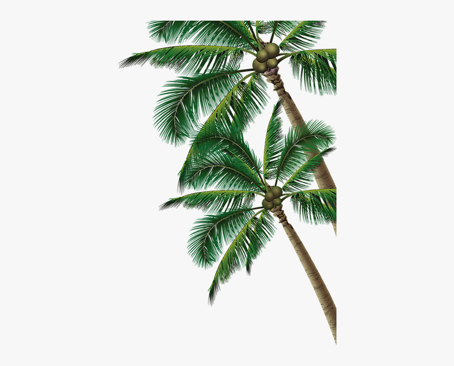 Summer Coconut Beach Tree Poster Free Clipart Hq - Hot Summer Ads, Transparent Clipart