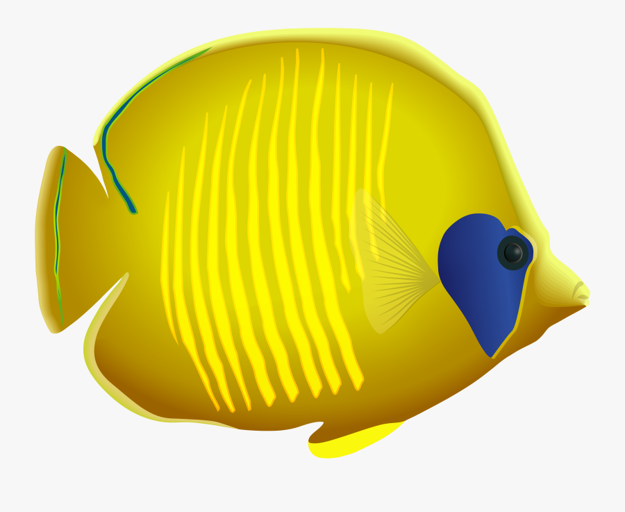 Fish Clipart Yellow, Transparent Clipart